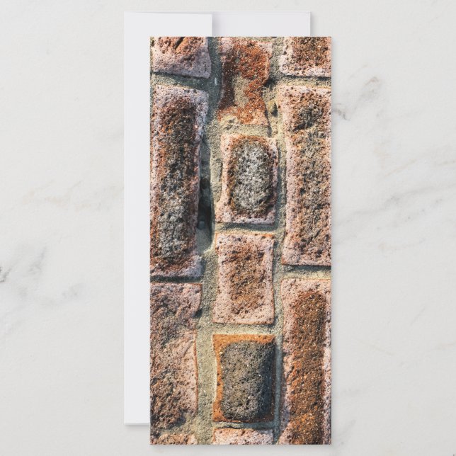 PLACAS DE RACK DE BRICKS (Frente)