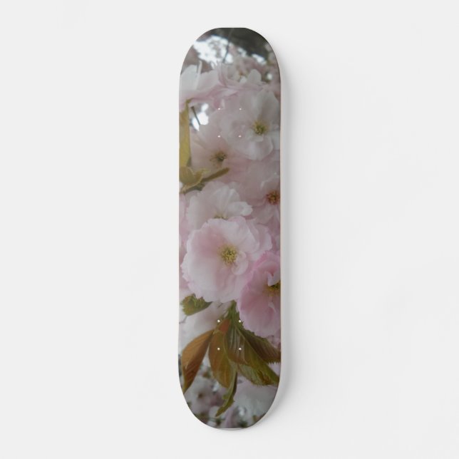Placas de skate de beleza primavera (Frente)