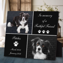 Em Memória Cão Tributar Foto Memorial Pet