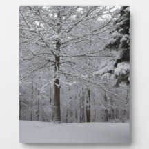 Modo de Exibição de Woods