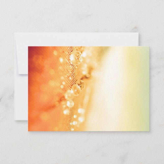 Placas RSVP de Casamento (Frente)