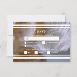 Placas RSVP de Casamento de Areia