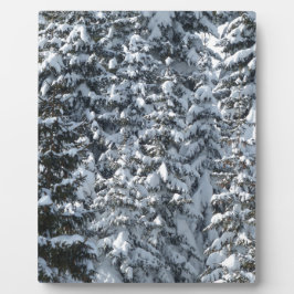 Placas Textura de árvore de abertura de neve