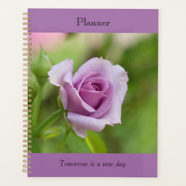 planejador (Frente)