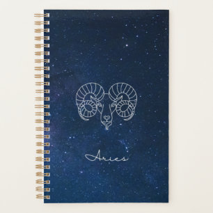 Planejador - Astrologia - Aries