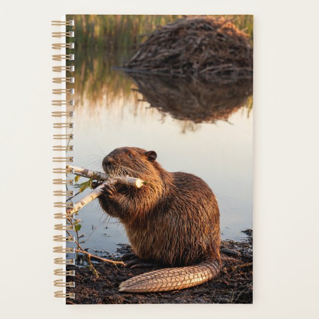 Planejador Beaver 2027 (Frente)