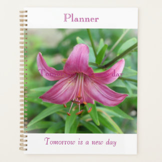 Planejador Beleza Rosa