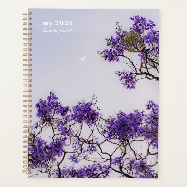 Planejador céu Jacaranda (Frente)