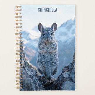 Planejador Chinchila 2027