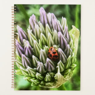 planejador com flor bonita no cobrir