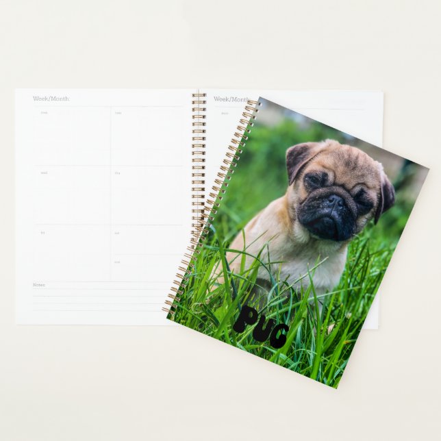 Planejador de Calendário de Puppy de Puppy de Enxa (Exibição)
