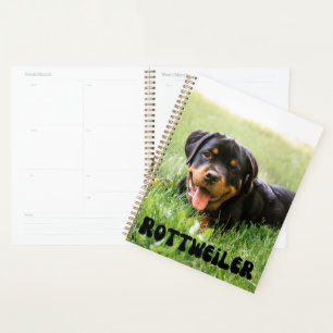 Planejador de Calendário de Puppy do Rottweiler de