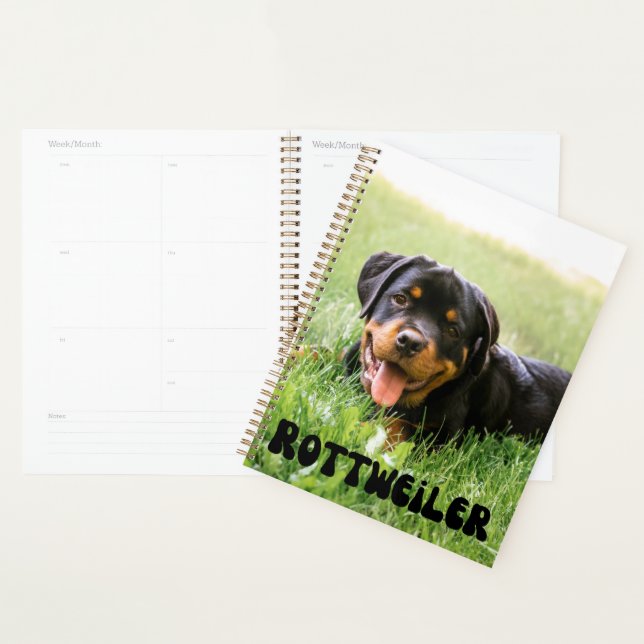 Planejador de Calendário de Puppy do Rottweiler de (Exibição)