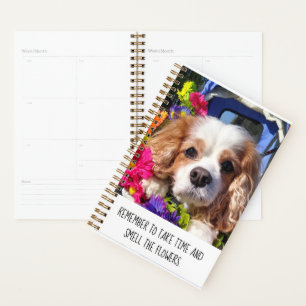Planejador de Cavalier Personalizado