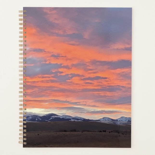 Planejador de Céu Pintado (Frente)