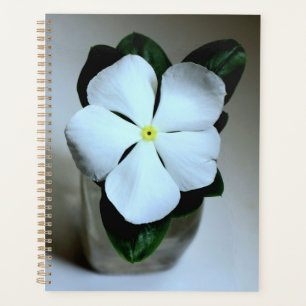 Planejador de Flor Branco