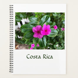 Planejador de Flores Roxo da Costa Rica