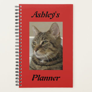 Planejador de Guias Personalizado