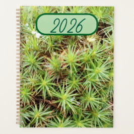 Planejador de Musgo de Cabelo - Agenda Verde da Na