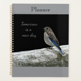 Planejador de passarinho