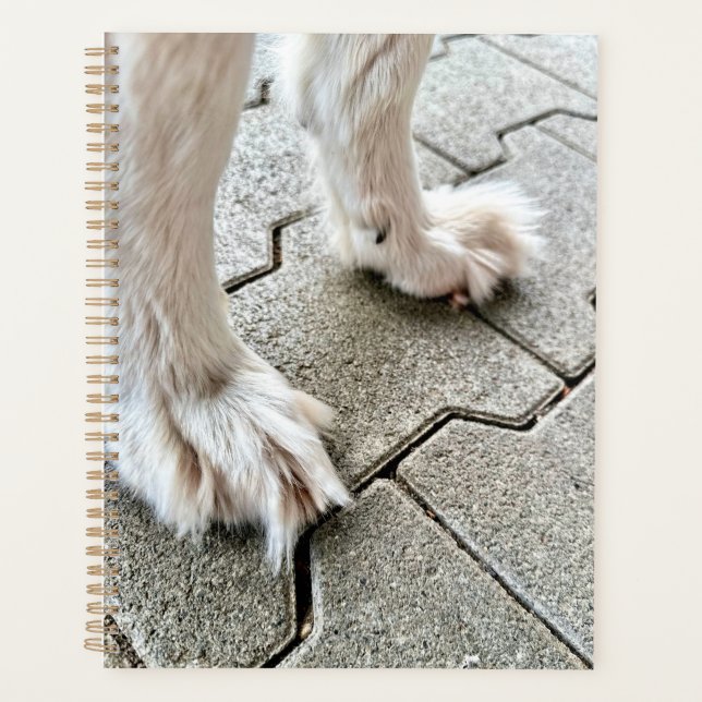 Planejador de patas de Grpolegadas Ofy de Fee (Frente)