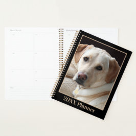 Planejador de Retriever de Labrador Amarelo