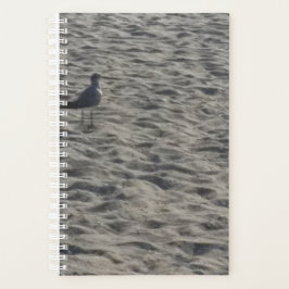 Planejador de Seagull