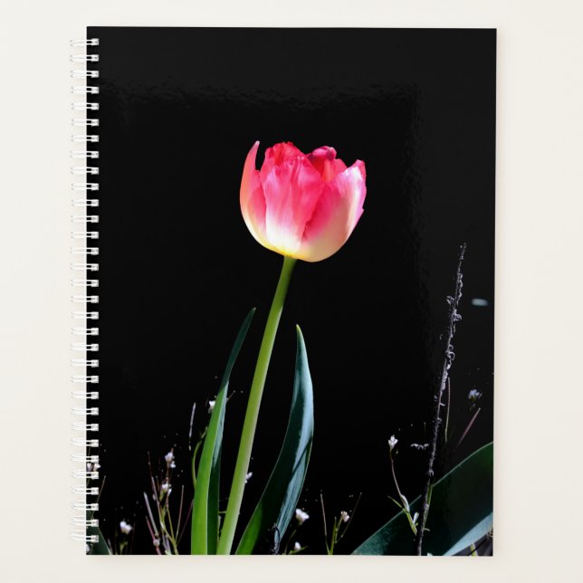 planejador de tulipas primavera (Frente)