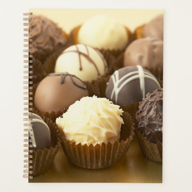 Planejador Diário do Cobrir duro (Frente)