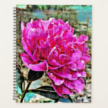 Planejador Diário do Cobrir duro