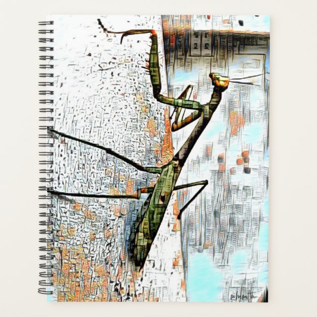 Planejador Diário do Cobrir duro (Frente)