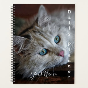 Planejador Diário - Gato Himalaio - HAMbWG