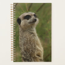 Planejador e Caderno Espiral de Suricata