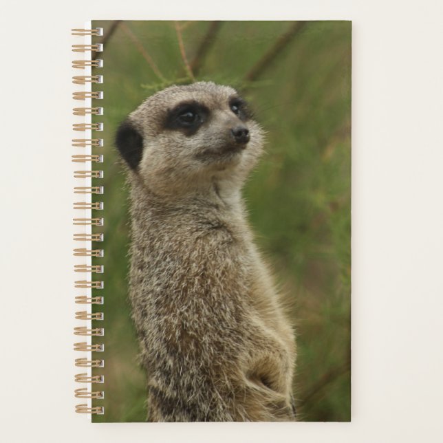 Planejador e Caderno Espiral de Suricata (Frente)