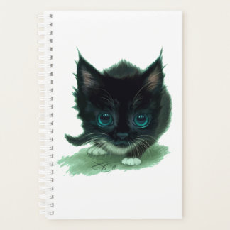 Planejador espiral de gato