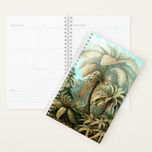 Planejador Filicinae de Ernst Haeckel (Tree Ferns)