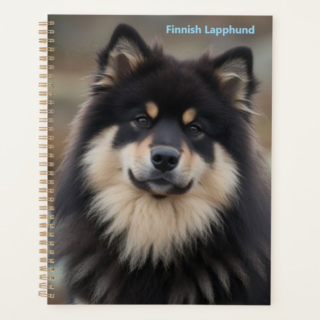 Planejador Finnish Lapphund (Frente)