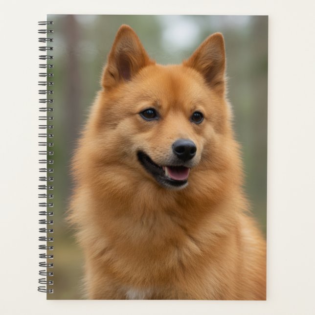 Planejador Finnish Spitz (Frente)