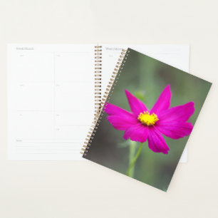 Planejador Flor Rosa