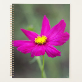 Planejador Flor Rosa