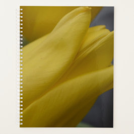 Planejador Floral Tulipa Amarela – Fotografia de F
