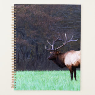 Planejador Great Smoky Mountain Elk 2026