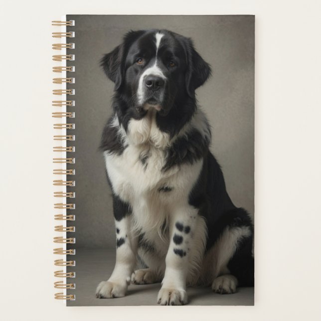Planejador Landseer (Frente)