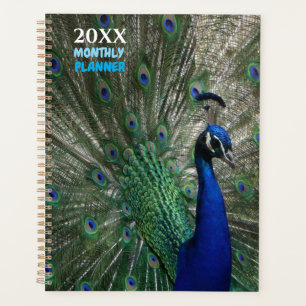 Planejador Mensal Calendário Sem Data Pavão Livro