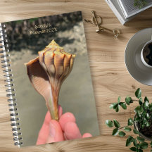Planejador Personalizado Fotografia de Concha de B