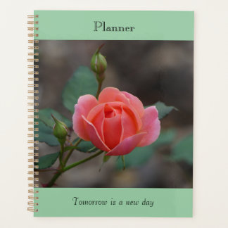 Planejador Pinky Rosebud