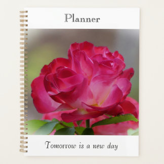 Planejador Rosa de Beleza