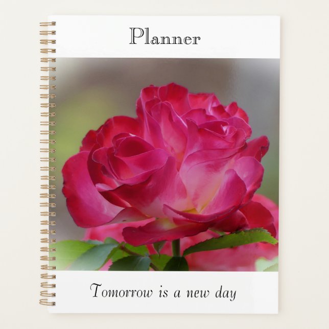 Planejador Rosa de Beleza (Frente)