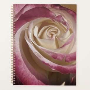 Planejador Rosa de Sombra