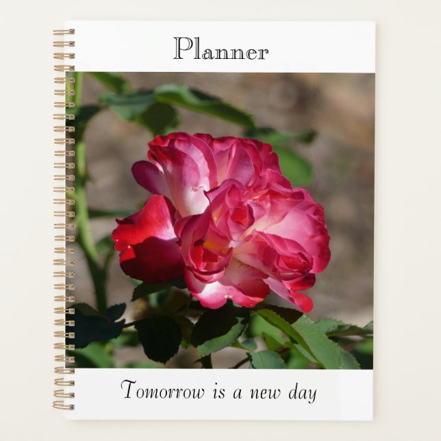 Planejador Rosa Espumante (Frente)